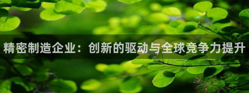 彩神vl购彩大厅：精密制造企业：创新的驱动与全球竞争力提升