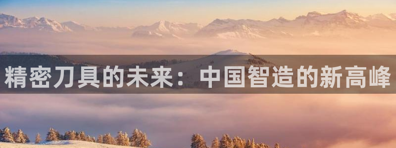 彩神赢钱了吗：精密刀具的未来：中国智造的新高峰