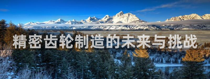 彩神VII官方版：精密齿轮制造的未来与挑战