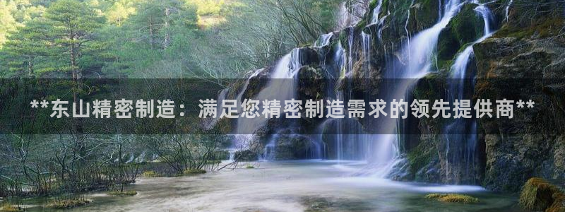 彩神赢了钱登录不上去：**东山精密制造：满足您精密制造需求的领先提供商**
