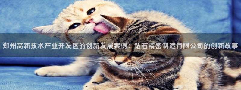 彩神v8下载app5.0：郑州高新技术产业开发区的创新发展案例：钻石精密制造有限公司的创新故事