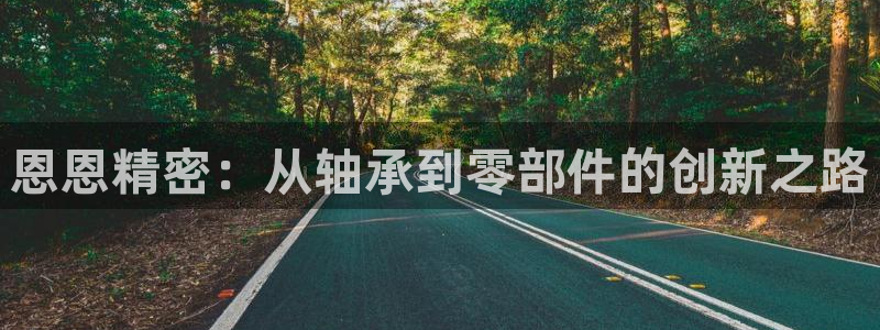 彩神是正规平台吗：恩恩精密：从轴承到零部件的创新之路