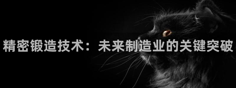 彩神v破解版：精密锻造技术：未来制造业的关键突破