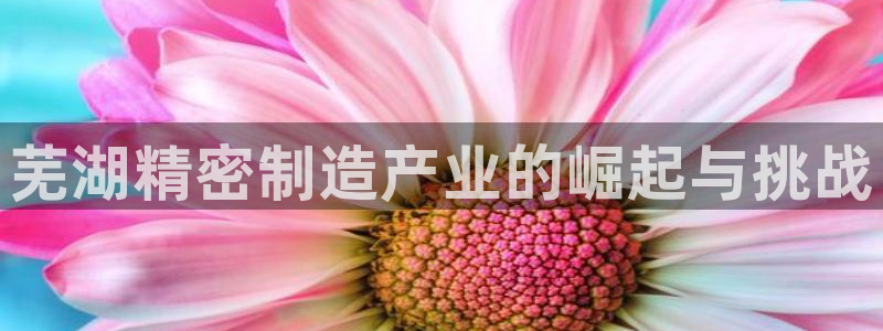 彩神网能赚钱是怎么回事：芜湖精密制造产业的崛起与挑战