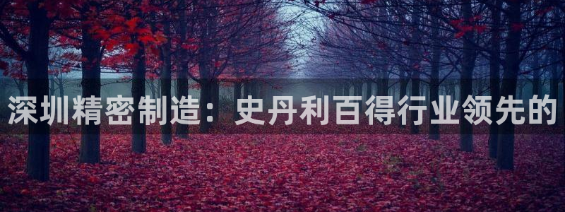 彩神ix官网：深圳精密制造：史丹利百得行业领先的