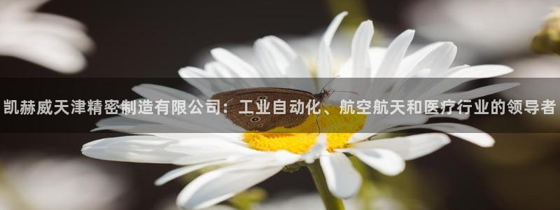 大发彩神最高邀请码：凯赫威天津精密制造有限公司：工业自动化、航空航天和医疗行业的领导者