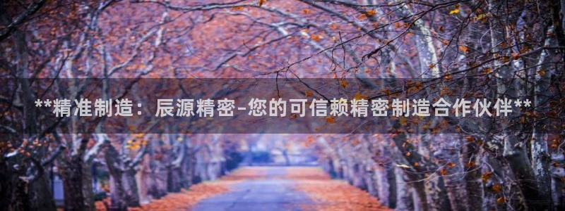 彩神app赚钱是真是假：**精准制造：辰源精密–您的可信赖精密制造合作伙伴**