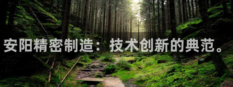 彩神v天天：安阳精密制造：技术创新的典范。