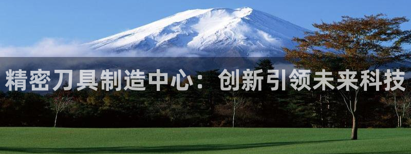 彩神通官方网：精密刀具制造中心：创新引领未来科技