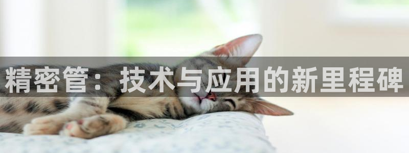 彩神合法吗.是国家认可的吗：精密管：技术与应用的新里程碑