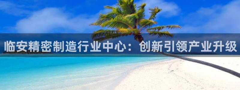 大发彩神争：临安精密制造行业中心：创新引领产业升级